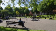 2022-05-29 086 St Patrick's Park, Dublin.jpg