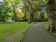 2022-05-29 225 St Stephen's Green Park, Dublin.jpg