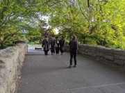 2022-05-29 241 St Stephen's Green Park, Dublin.jpg
