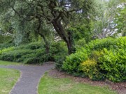 2022-05-29 253 St Stephen's Green Park, Dublin.jpg