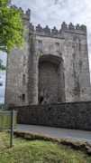 2022-05-31 090 Bunratty Castle, Bunratty.jpg