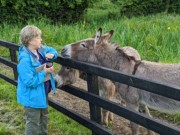 2022-05-31 158 Bunratty.jpg