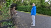 2022-05-31 178 Bunratty.jpg
