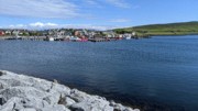 2022-06-01 177 First walk, around Dingle.jpg