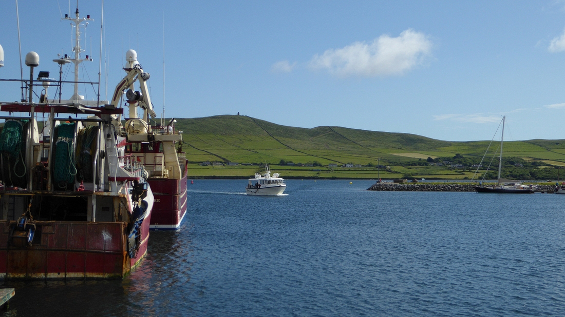 2022-06-01 188 First walk, around Dingle.JPG