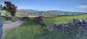 2022-06-01 203 First walk, around Dingle.jpg