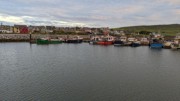 2022-06-01 273 First walk, around Dingle.jpg