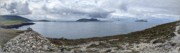2022-06-02 111 Dunquin Wild Way Atlantic Walk, Dingle Peninsula.jpg