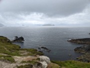 2022-06-02 190 Dunquin Wild Way Atlantic Walk, Dingle Peninsula.jpg