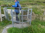 2022-06-02 266 Kevin O'Shea (guide), Dunquin Wild Way Atlantic Walk, Dingle Peninsula.jpg