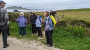 2022-06-02 273 Dunquin Wild Way Atlantic Walk, Dingle Peninsula.jpg