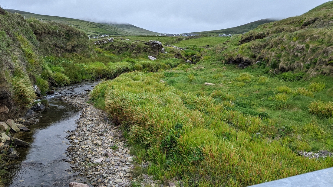 2022-06-02 275 Dunquin Wild Way Atlantic Walk, Dingle Peninsula.jpg