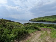2022-06-04 019 Morning walk, Dingle.jpg