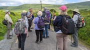 2022-06-05 009 Cosan na Naomh, Dingle Peninsula.jpg
