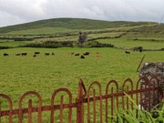 2022-06-05 068 Cosan na Naomh, Dingle Peninsula.jpg