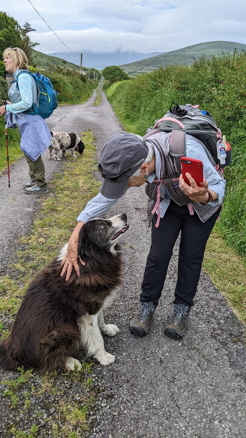 2022-06-05 099 Cosan na Naomh, Dingle Peninsula.jpg