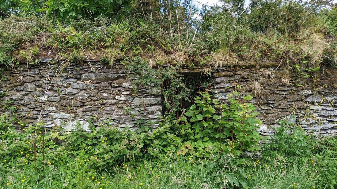 2022-06-05 116 Cosan na Naomh, Dingle Peninsula.jpg