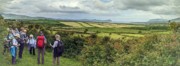 2022-06-05 141 Cosan na Naomh, Dingle Peninsula.jpg