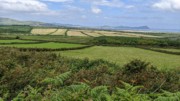 2022-06-05 149 Cosan na Naomh, Dingle Peninsula.jpg