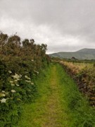2022-06-05 285 Cosan na Naomh, Dingle Peninsula.jpg