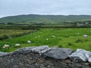 2022-06-05 321 Chancellor's House, Cosan na Naomh, Dingle Peninsula.jpg