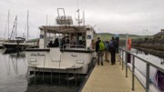 2022-06-06 003 Boat Trip to Great Blasket Island, Dingle Peninsula.jpg