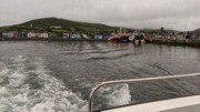 2022-06-06 007 Boat Trip to Great Blasket Island, Dingle Peninsula.jpg