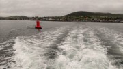 2022-06-06 014 Boat Trip to Great Blasket Island, Dingle Peninsula.jpg