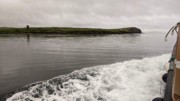 2022-06-06 021 Boat Trip to Great Blasket Island, Dingle Peninsula.jpg
