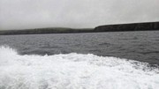 2022-06-06 042 Boat Trip to Great Blasket Island, Dingle Peninsula.jpg