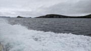 2022-06-06 058 Boat Trip to Great Blasket Island, Dingle Peninsula.jpg