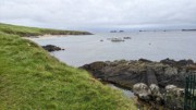 2022-06-06 090 Boat Trip to Great Blasket Island, Dingle Peninsula.jpg