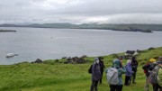 2022-06-06 108 Boat Trip to Great Blasket Island, Dingle Peninsula.jpg