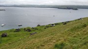 2022-06-06 114 Boat Trip to Great Blasket Island, Dingle Peninsula.jpg