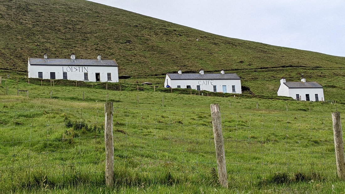 2022-06-06 189 Boat Trip to Great Blasket Island, Dingle Peninsula.jpg