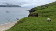 2022-06-06 197 Boat Trip to Great Blasket Island, Dingle Peninsula.jpg