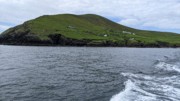 2022-06-06 256 Boat Trip to Great Blasket Island, Dingle Peninsula.jpg