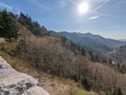 2023-04-20 18 Ben Morton Overlook, Great Smoky Mountains National Park, TN.jpg