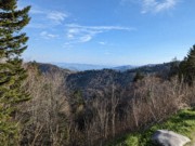 2023-04-20 24 Newfound Gap, Great Smoky Mountains National Park, from Gatlinburg TN.jpg