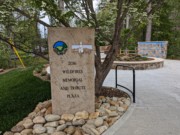 2023-04-21 01 Wildfires Memorial Park, up the hill from Sidney James, Gatlinburg TN.jpg