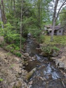 2023-04-21 09 Wildfires Memorial Park, up the hill from Sidney James, Gatlinburg TN.jpg