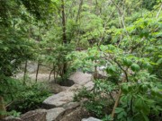 2023-04-23 55 Second Creek Greenway, Knoxville TN.jpg