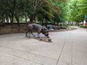 2023-04-23 69 Krutch Park, across from Market Square, Knoxville TN.jpg