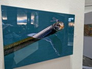 2023-04-24 Hitch Hiker by Gilliam, McGhee-Tyson airport, Knoxville TN.jpg
