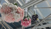 2023-05-09 354 Hanging Sculptures (2021), Petah Coyne; PAFA, Philadelphia.jpg