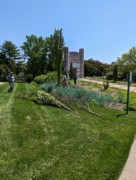 2023-05-10 211 Grounds crew taking down tree; Grounds for Sculpture, Hamilton NJ.jpg
