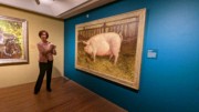 2023-05-11 177B Tour guide & Portrait of Pig (1970), Jamie Wyeth; Brandywine Museum.jpg