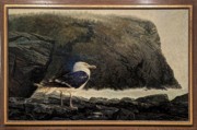 2023-05-11 r328 Scavenger (oil on canvas, 1974), Jamie Wyeth; Delaware Museum of Art.jpg