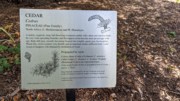 2023-05-12 106 Barnes Arboretum, Merion PA.jpg