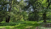 2023-05-12 128 Barnes Arboretum, Merion PA.jpg